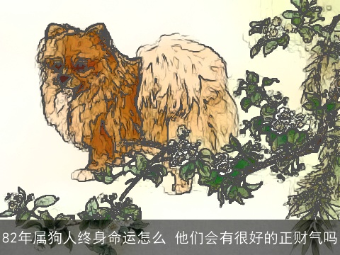 82年属狗人终身命运怎么 他们会有很好的正财气吗