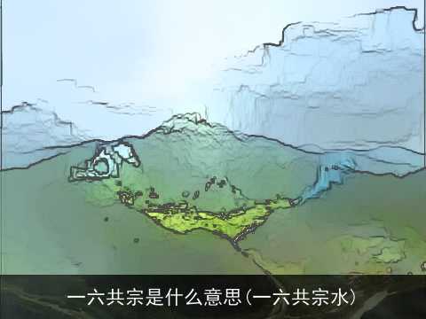一六共宗是什么意思(一六共宗水)
