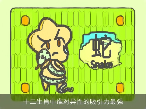 十二生肖中谁对异性的吸引力最强