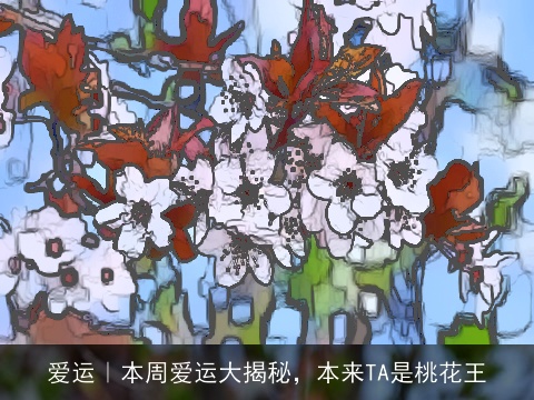 爱运｜本周爱运大揭秘，本来TA是桃花王