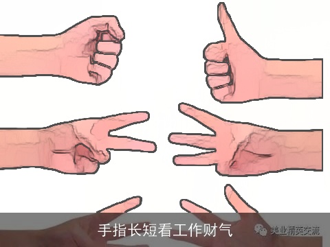 手指长短看工作财气