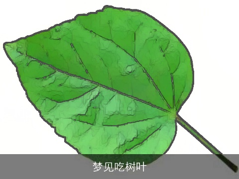梦见吃树叶