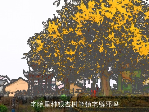 宅院里种银杏树能镇宅辟邪吗