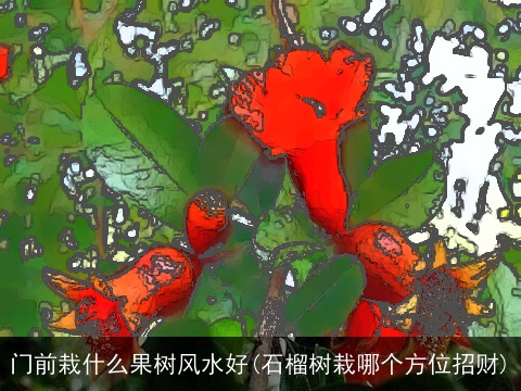 门前栽什么果树风水好(石榴树栽哪个方位招财)