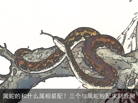 属蛇的和什么属相最配？三个与属蛇般配求财合财