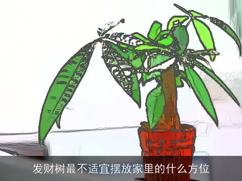 发财树最不适宜摆放家里的什么方位