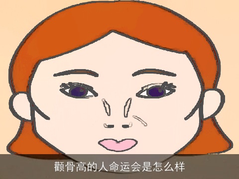 颧骨高的人命运会是怎么样