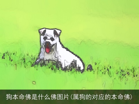 狗本命佛是什么佛图片(属狗的对应的本命佛)
