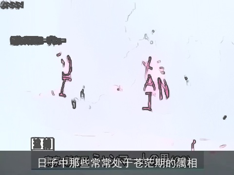 日子中那些常常处于苍茫期的属相