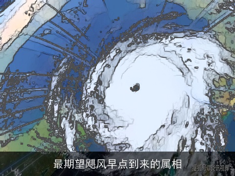 最期望飓风早点到来的属相