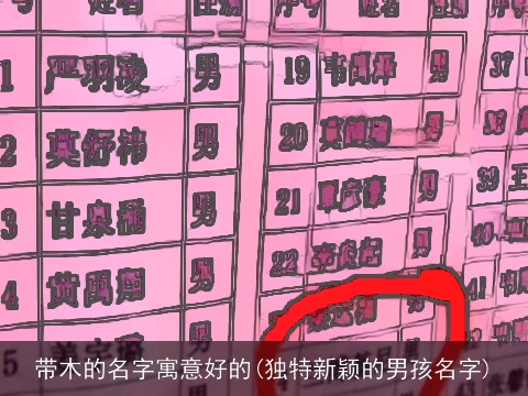 带木的名字寓意好的(独特新颖的男孩名字)