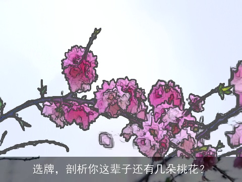 选牌，剖析你这辈子还有几朵桃花？