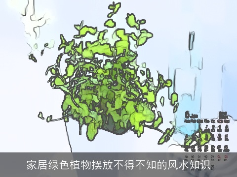 家居绿色植物摆放不得不知的风水知识