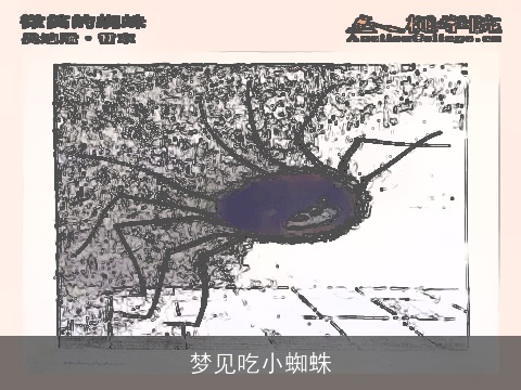 梦见吃小蜘蛛