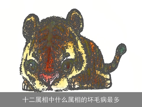 十二属相中什么属相的坏毛病最多