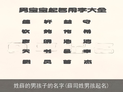 姓薛的男孩子的名字(薛司姓男孩起名)