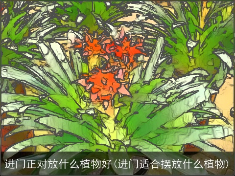 进门正对放什么植物好(进门适合摆放什么植物)