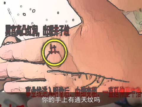 你的手上有通天纹吗