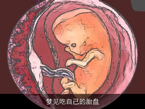 梦见吃自己的胎盘