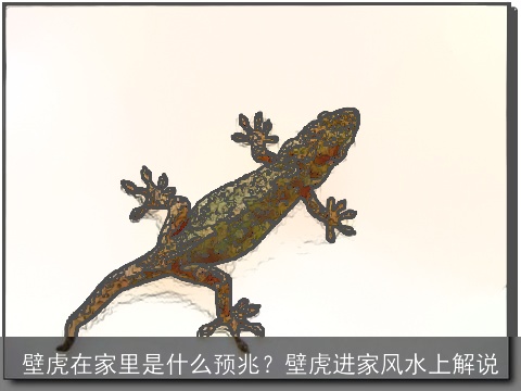 壁虎在家里是什么预兆？壁虎进家风水上解说