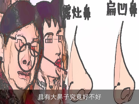 具有大鼻子究竟好不好