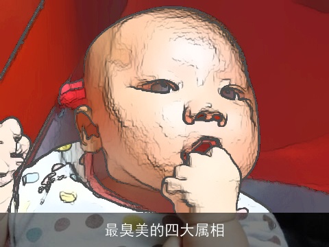 最臭美的四大属相