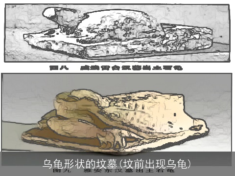 乌龟形状的坟墓(坟前出现乌龟)