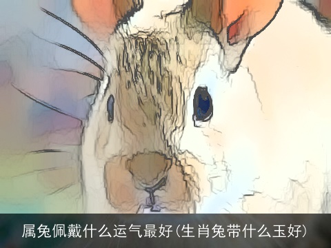 属兔佩戴什么运气最好(生肖兔带什么玉好)