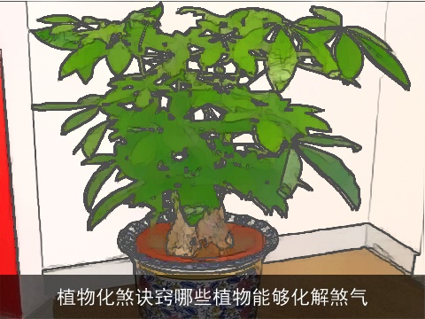 植物化煞诀窍哪些植物能够化解煞气