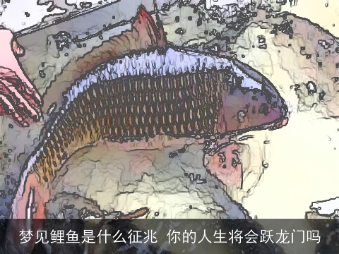 梦见鲤鱼是什么征兆 你的人生将会跃龙门吗