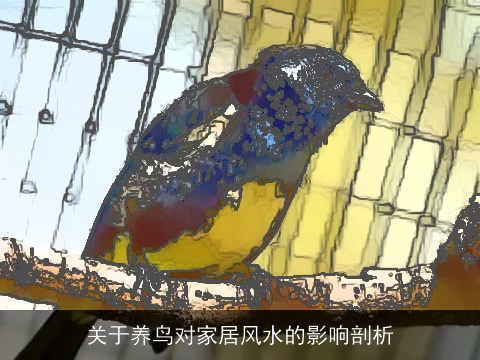 关于养鸟对家居风水的影响剖析