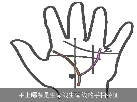 手上哪条是生命线生命线的手相特征