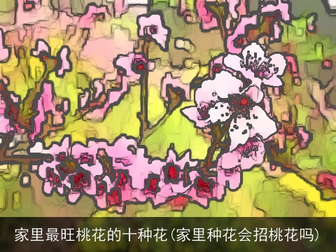 家里最旺桃花的十种花(家里种花会招桃花吗)