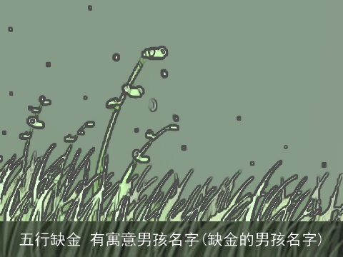 五行缺金 有寓意男孩名字(缺金的男孩名字)
