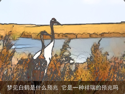 梦见白鹤是什么预兆 它是一种祥瑞的预兆吗