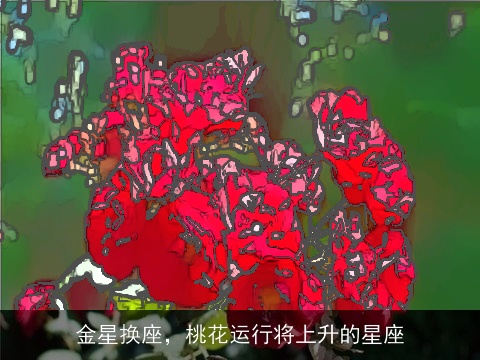 金星换座，桃花运行将上升的星座