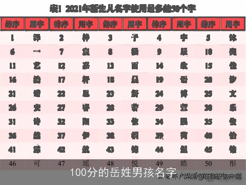 100分的岳姓男孩名字