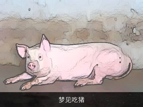 梦见吃猪