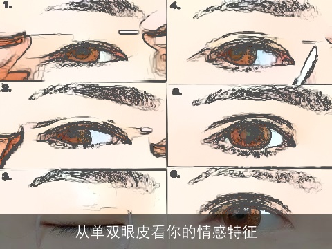 从单双眼皮看你的情感特征