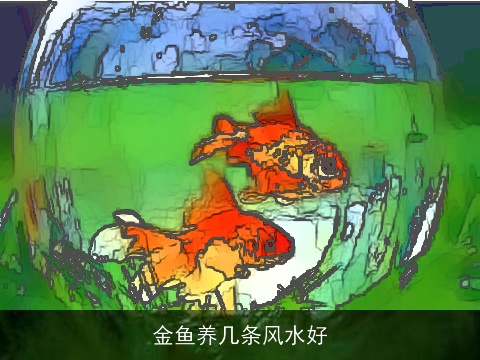 金鱼养几条风水好