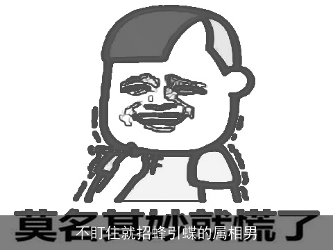 不盯住就招蜂引蝶的属相男