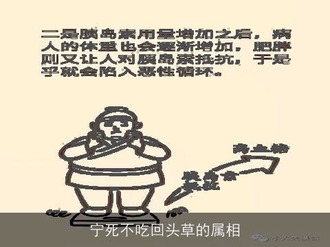 宁死不吃回头草的属相