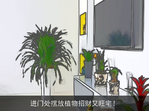 进门处摆放植物招财又旺宅！