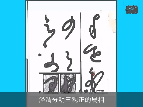 泾渭分明三观正的属相
