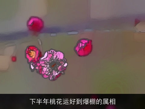 下半年桃花运好到爆棚的属相