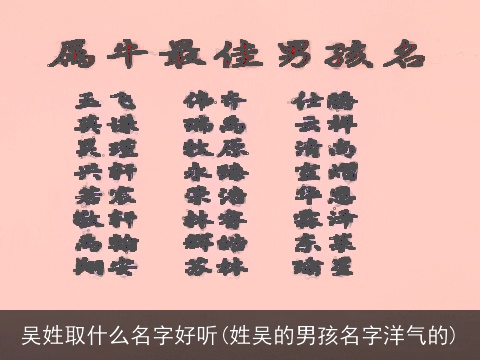 吴姓取什么名字好听(姓吴的男孩名字洋气的)