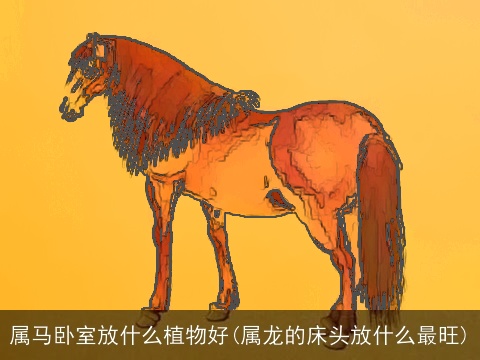 属马卧室放什么植物好(属龙的床头放什么最旺)