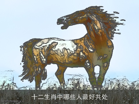 十二生肖中哪些人最好共处