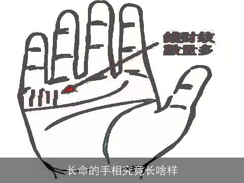 长命的手相究竟长啥样