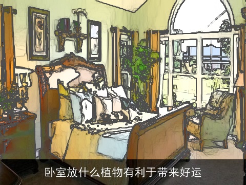 卧室放什么植物有利于带来好运